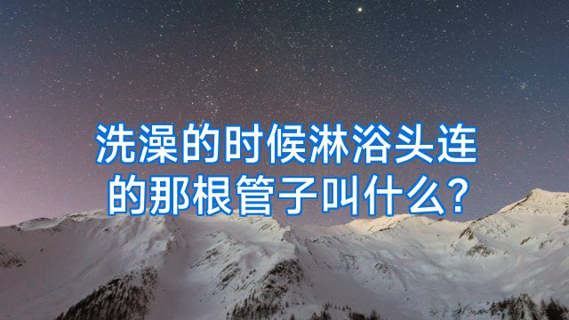 洗澡的时候淋浴头连的那根管子叫什么?