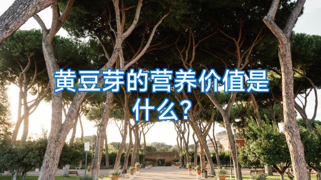 黄豆芽的营养价值是什么?
