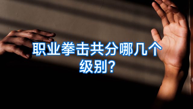 职业拳击共分哪几个级别?