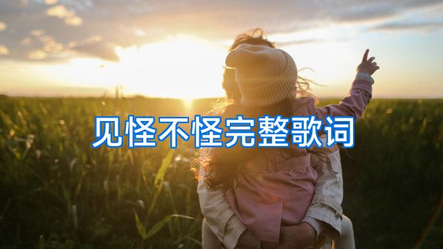 见怪不怪完整歌词