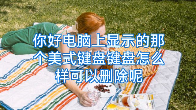 你好电脑上显示的那个美式键盘键盘怎么样可以删除呢