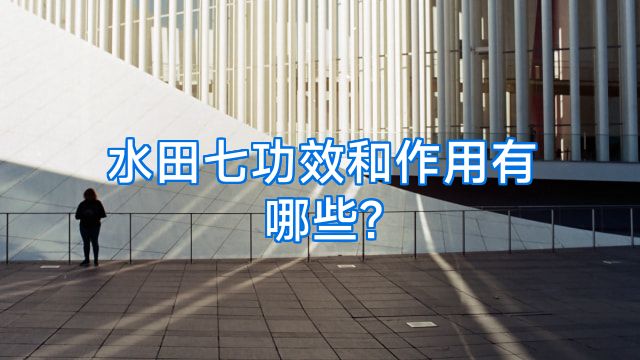 水田七功效和作用有哪些?