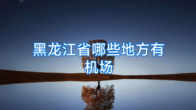 黑龙江省哪些地方有机场