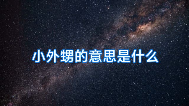 小外甥的意思是什么
