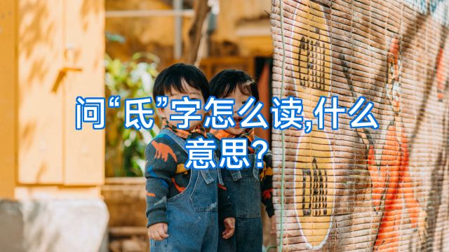 问“氐”字怎么读,什么意思?