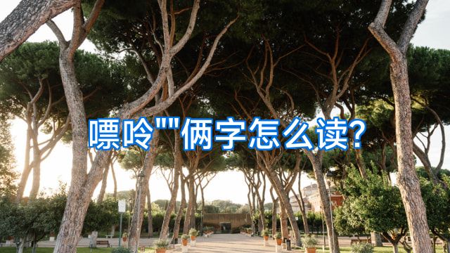 嘌呤
