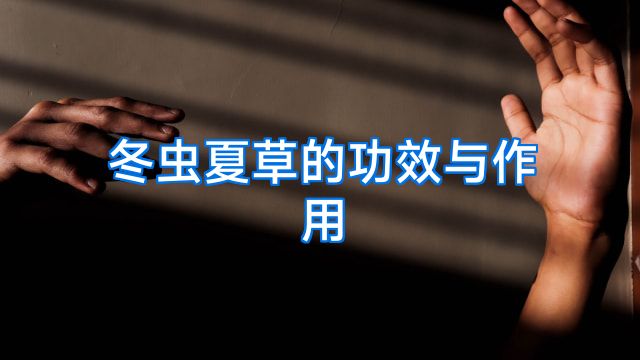 冬虫夏草的功效与作用