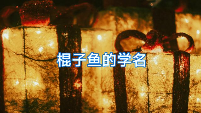 棍子鱼的学名