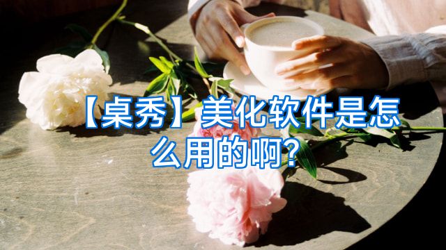 【桌秀】美化软件是怎么用的啊?