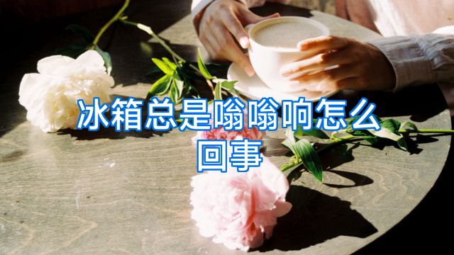 冰箱总是嗡嗡响怎么回事