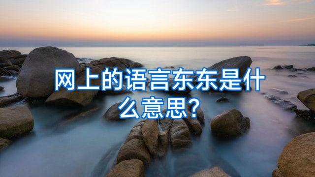 网上的语言东东是什么意思?