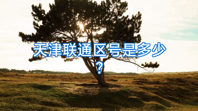 天津联通区号是多少?