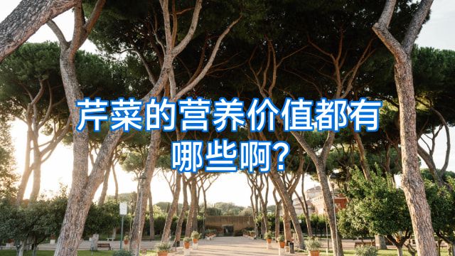 芹菜的营养价值都有哪些啊?
