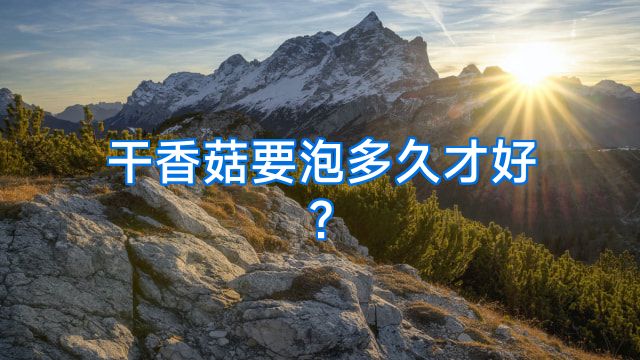 干香菇要泡多久才好?