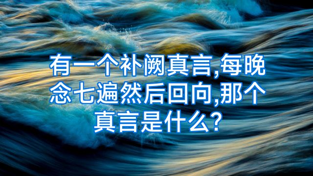 有一个补阙真言,每晚念七遍然后回向,那个真言是什么?