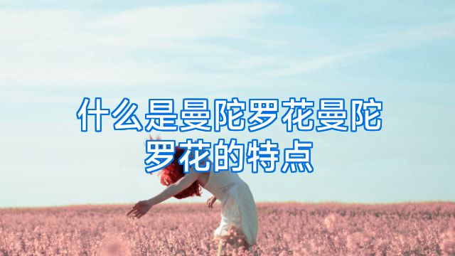 什么是曼陀罗花曼陀罗花的特点