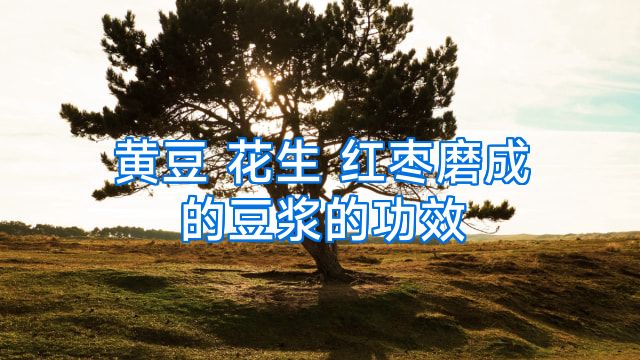 黄豆 花生 红枣磨成的豆浆的功效