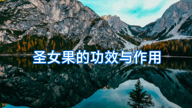 圣女果的功效与作用