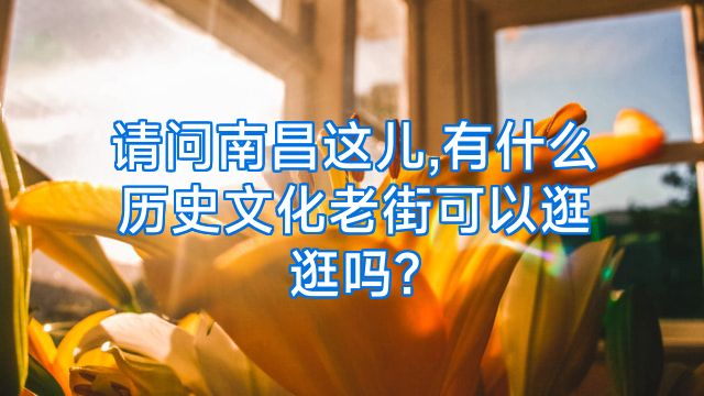 请问南昌这儿,有什么历史文化老街可以逛逛吗?