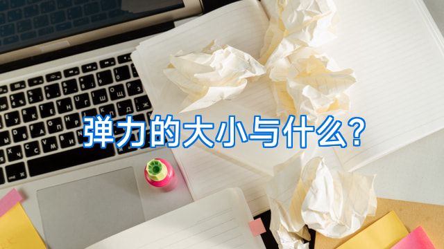 弹力的大小与什么?