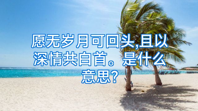 愿无岁月可回头,且以深情共白首。是什么意思?