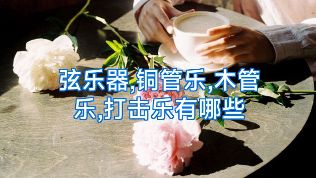 弦乐器,铜管乐,木管乐,打击乐有哪些