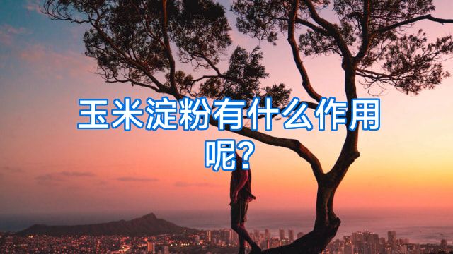 玉米淀粉有什么作用呢?