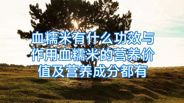 血糯米有什么功效与作用血糯米的营养价值及营养成分都有