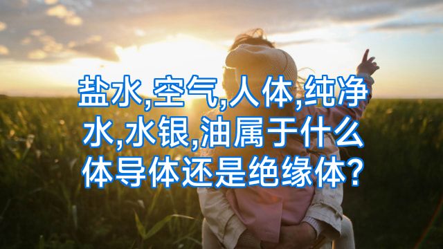 盐水,空气,人体,纯净水,水银,油属于什么体导体还是绝缘体?