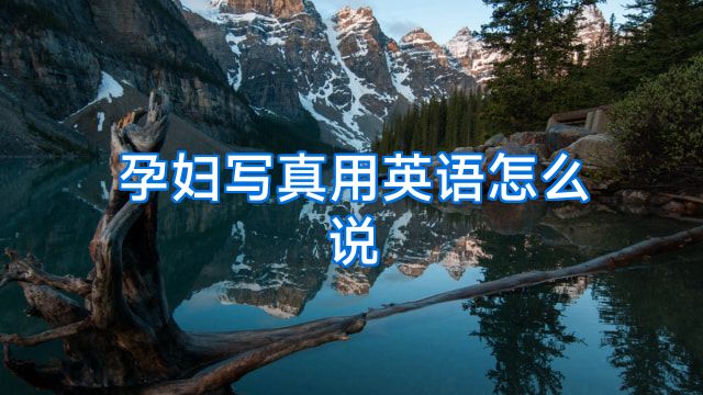 孕妇写真用英语怎么说