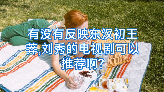 有没有反映东汉初王莽,刘秀的电视剧可以推荐啊?