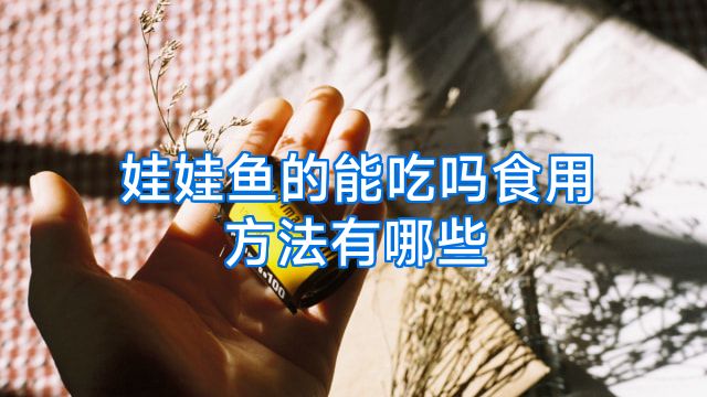 娃娃鱼的能吃吗食用方法有哪些