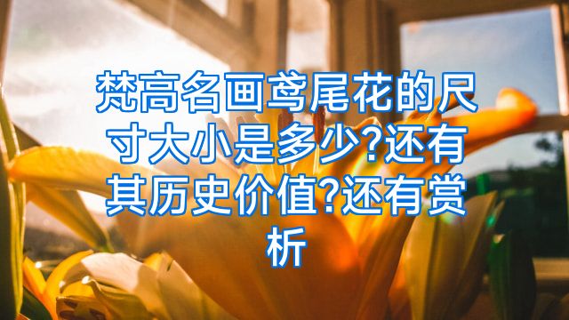 梵高名画鸢尾花的尺寸大小是多少?还有其历史价值?还有赏析