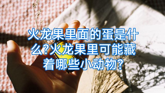 火龙果里面的蛋是什么?火龙果里可能藏着哪些小动物?