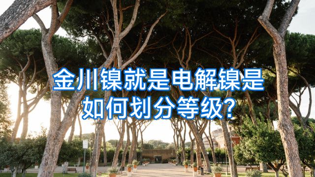 金川镍就是电解镍是如何划分等级?