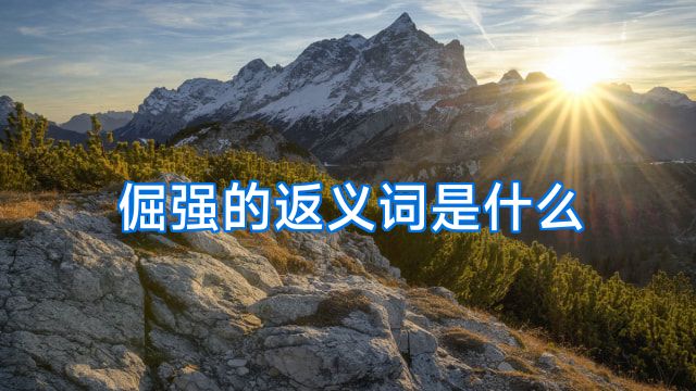倔强的返义词是什么