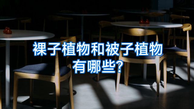 裸子植物和被子植物有哪些?