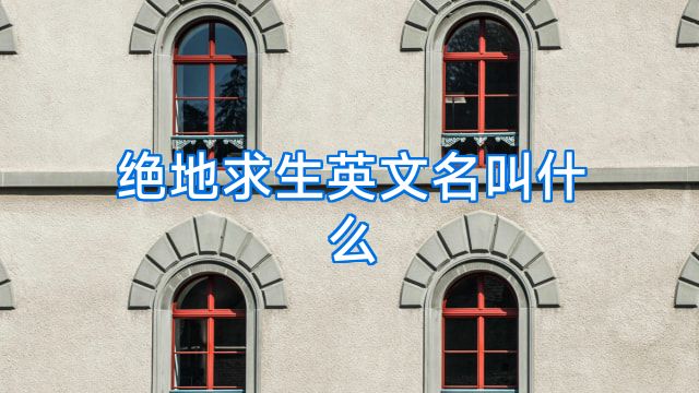 绝地求生英文名叫什么