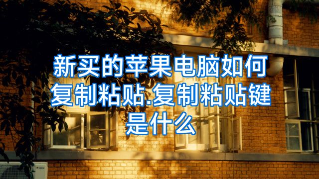 新买的苹果电脑如何复制粘贴.复制粘贴键是什么