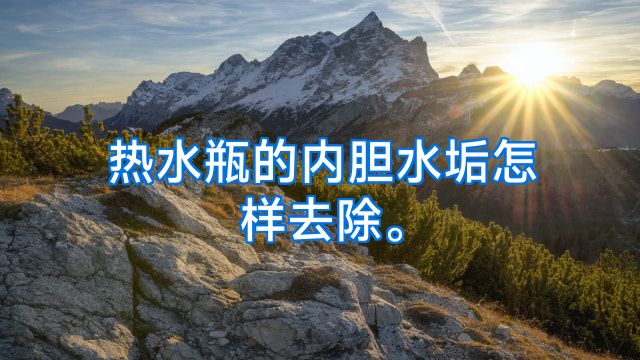 热水瓶的内胆水垢怎样去除。