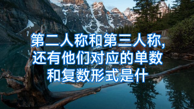 第二人称和第三人称,还有他们对应的单数和复数形式是什