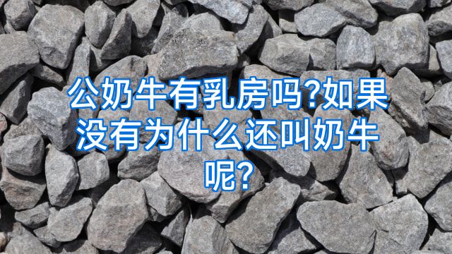公奶牛有乳房吗?如果没有为什么还叫奶牛呢?