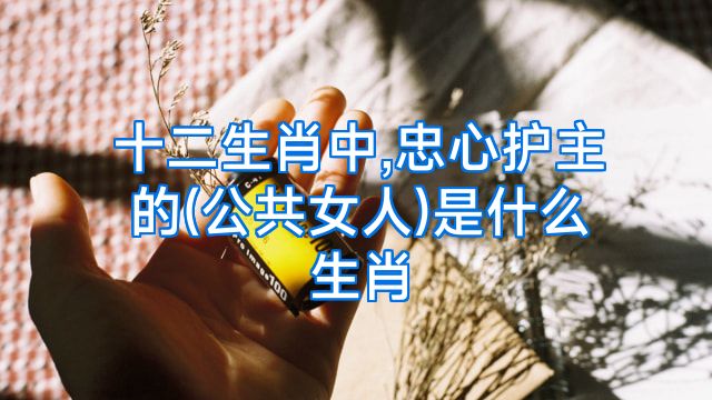 十二生肖中,忠心护主的(公共女人)是什么生肖