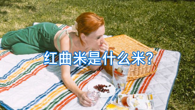 红曲米是什么米?