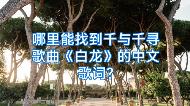 哪里能找到千与千寻歌曲《白龙》的中文歌词?