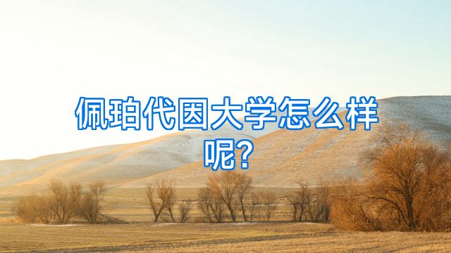 佩珀代因大学怎么样呢?