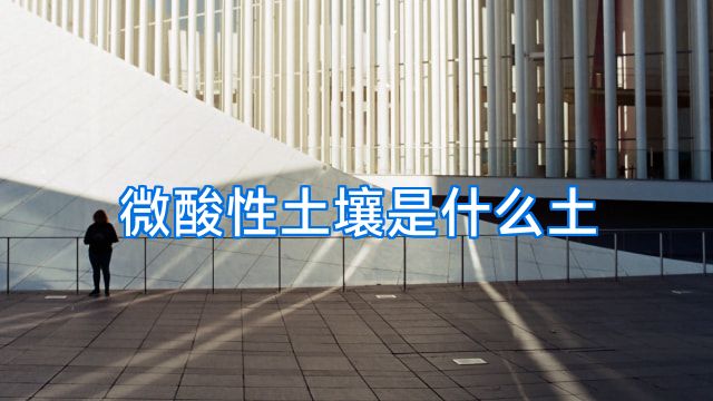 微酸性土壤是什么土