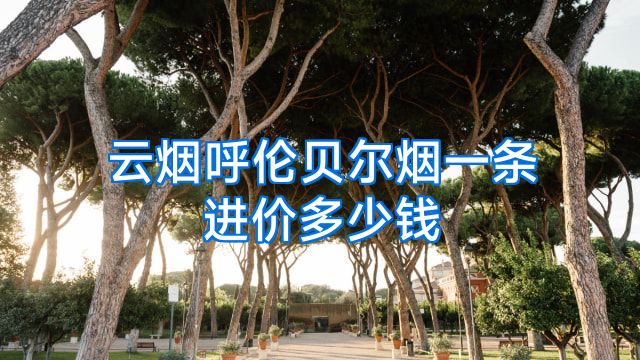 云烟呼伦贝尔烟一条进价多少钱