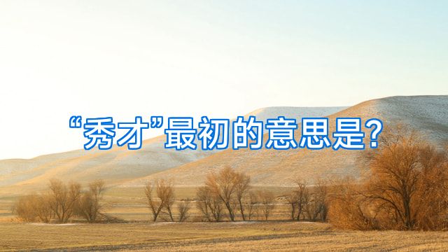 “秀才”最初的意思是?