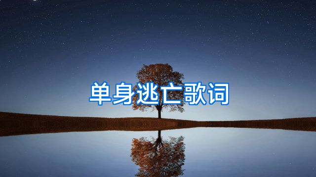 单身逃亡歌词